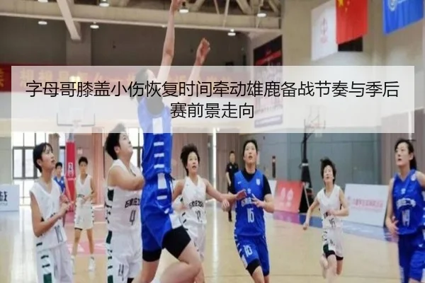 字母哥膝盖小伤恢复时间牵动雄鹿备战节奏与季后赛前景走向 | kaiyun